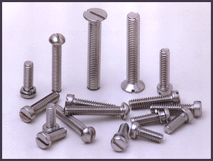 Stainless Steel Screws